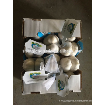 Alho branco puro 100g * 20 / carton China Jinxiang alho fresco